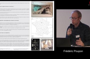 5 Constituer une ostéothèque : l'exemple du service archéologique du Grand Reims