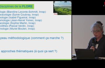Le stage « Archéologie environnementale » : une approche thématique et transversale 