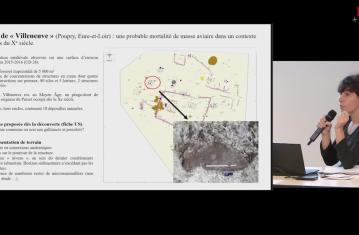 Morts plurielles : comment aborder la découverte des dépôts multiples en archéozoologie ?