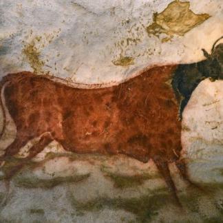 1940-2017 Lascaux à demi maux ?