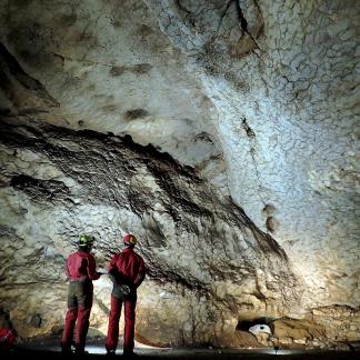 Cette paroi de la salle Dewoitine/Mandement, dans le grotte du Mas d'Azil, est marquée par diverses encoches qui témoignent non seulement de la présence d'une colonie de chauves-souris mais également d'un gros tas de guano qui y fermentait.