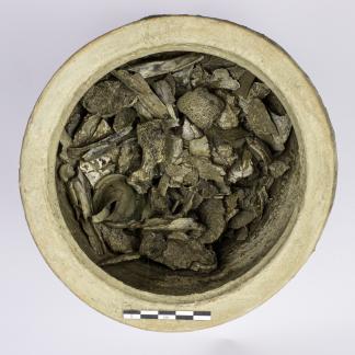 Vase ossuaire en céramique contenant essentiellement des restes osseux d’un individu adulte, ainsi que divers fragments de verre fondu provenant de vases accompagnant le défunt sur le bûcher.