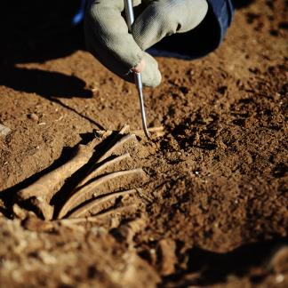 Les sciences et les méthodes de l'archéologie