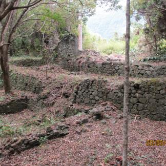 Murs de pierres sèches et terrassements