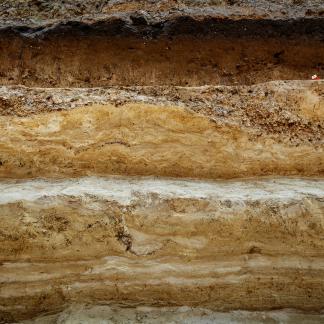 Coupes des couches stratigraphiques des alluvions anciennes de la Seine. Les niveaux supérieurs sont déformés pendant les périodes glaciaires. Fouille de Clichy-la-Garenne.
