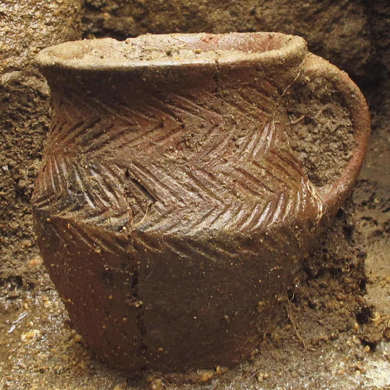 Vivre et mourir à l'âge du Bronze