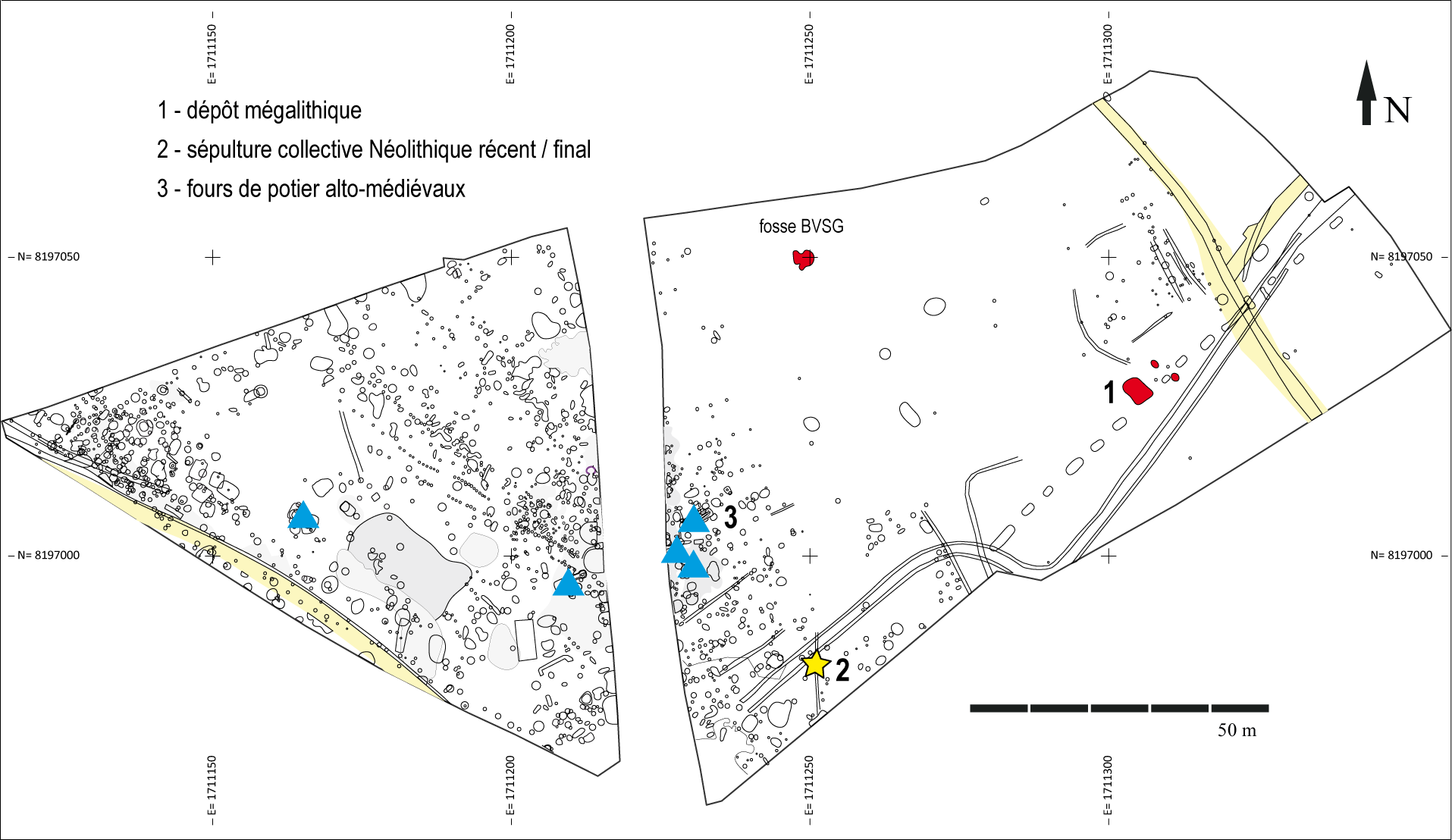 Plan général de la fouille de Chamigny. Plan général de la fouille de Chamigny.