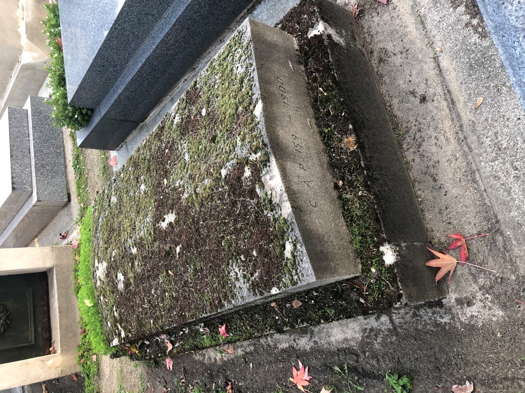 Cimetière du Montparnasse. Tombe de Daniel Halphen, Parisien de 62 ans mort au camp de Drancy et inhumé le 7 avril 1943. Seul le numéro de concession (au premier plan) a permis l’identification de la tombe. 23.jpg