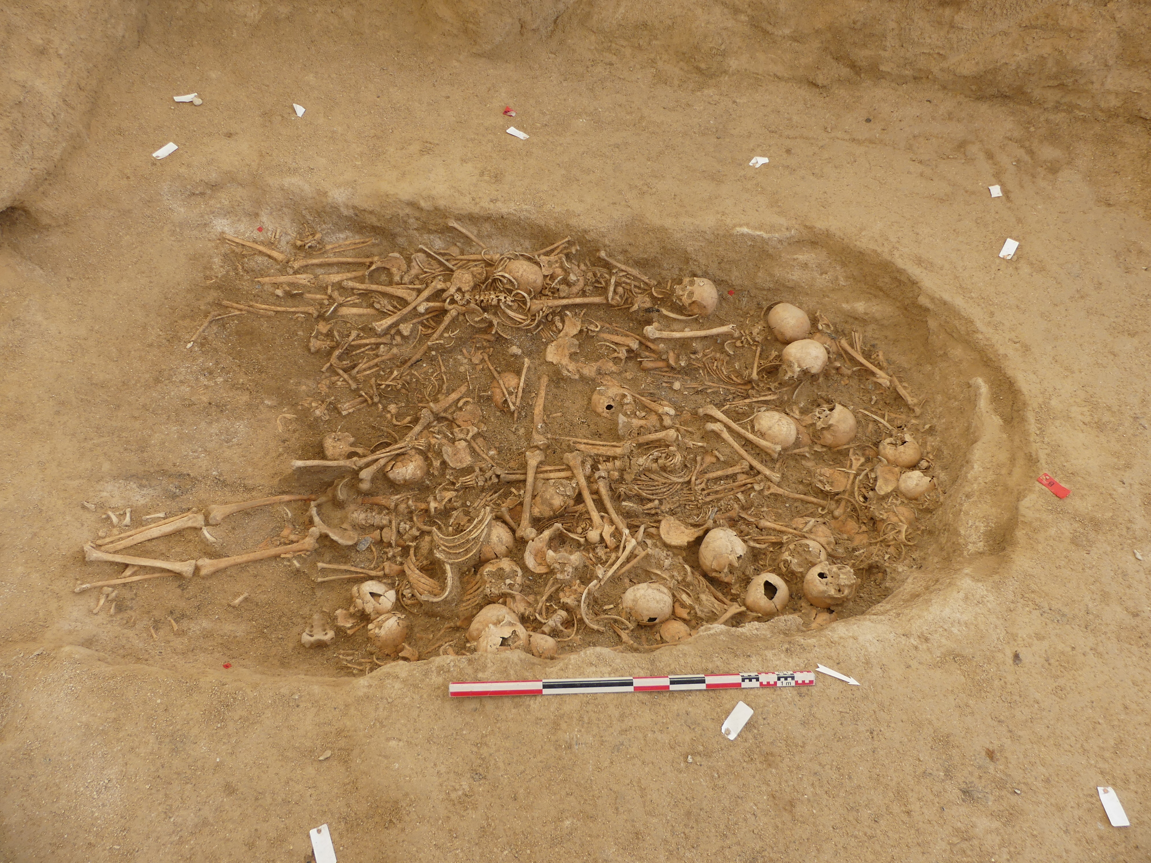 3 тысячи лет жила. Археологические находки неолита. Первобытные захоронения.