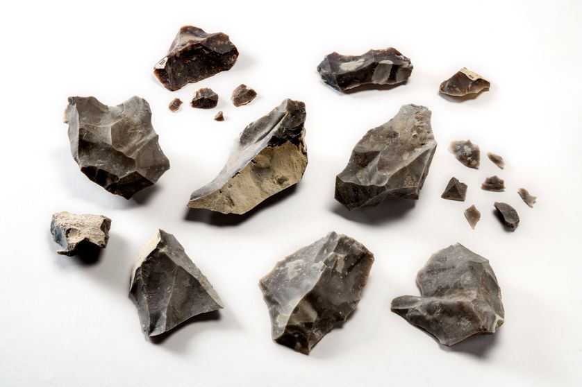 21 pièces d'outils en silex ont été mises au jour. Des éléments de différentes tailles qui correspondent à plusieurs moments de la chaîne opératoire du débitage des éclats. 21 pièces d'outils en silex ont été mises au jour. Des éléments de différentes tailles qui correspondent à plusieurs moments de la chaîne opératoire du débitage des éclats.