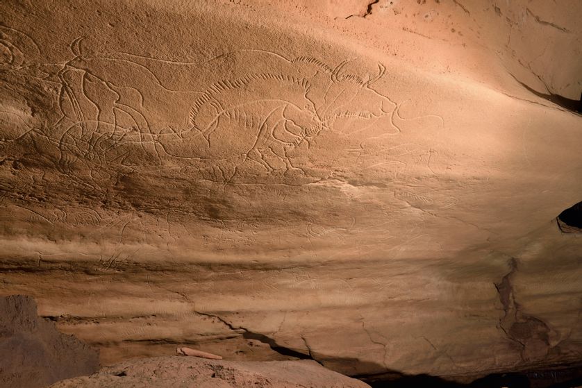 Le Grand Panneau à 310 m de l’entrée. Un véritable palimpseste renfermant de nombreuses figures enchevêtrées.