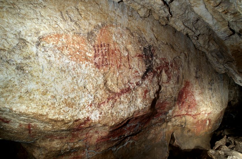 Grand panneau peint oblique de la grotte de Marsoulas (Haute-Garonne) Grand panneau peint oblique de la grotte de Marsoulas (Haute-Garonne)