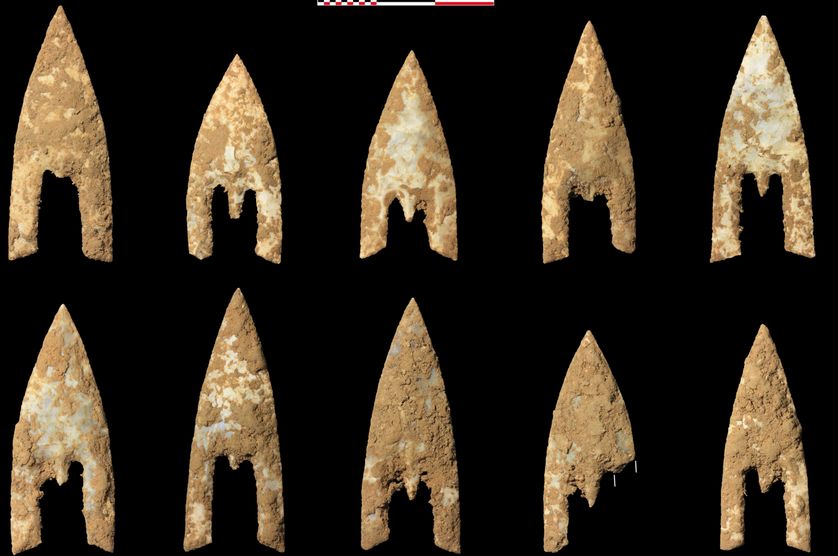 Pointes de flèches de type armoricain retrouvées dans la tombe princière de Giberville. Ces pointes attestent d’une véritable maitrise du travail du silex et sont associées à une élite sociale.