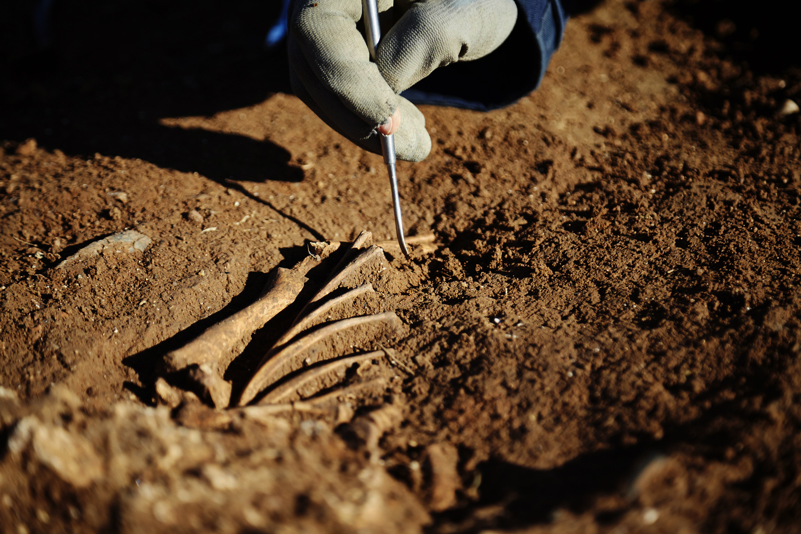 Les sciences et les méthodes de l'archéologie Les sciences et les méthodes de l'archéologie