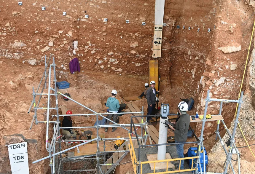 Campagne de fouilles dans les grottes d'Atapuerca (Burgos, Espagne) en 2022 ayant donné lieu à de nouvelles découvertes datant de plus d'1,4 millions d'années 860_efespfifteen193565.jpeg