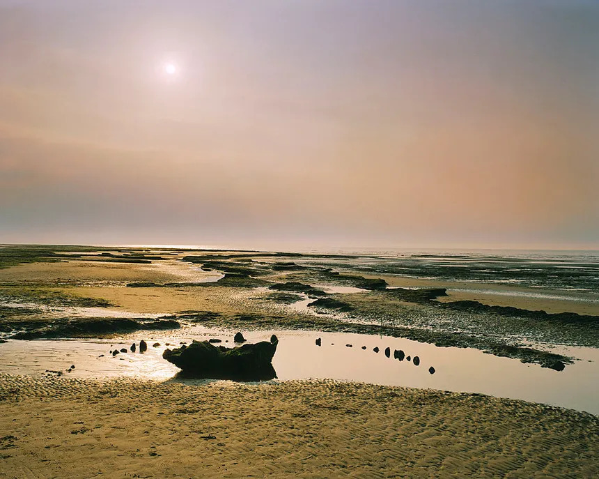 Site de Seahenge (Norfolk au Nord-Est de la Grande-Bretagne) 860_gettyimages-464414839.jpeg
