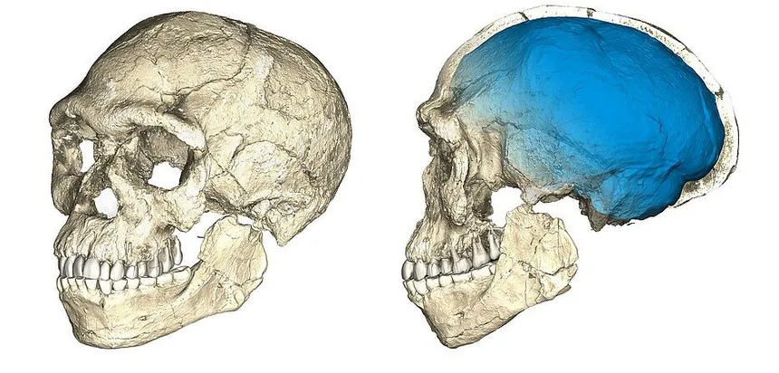 860_sc_csm-figure-11-8035298956.jpg 860_sc_csm-figure-11-8035298956.jpg