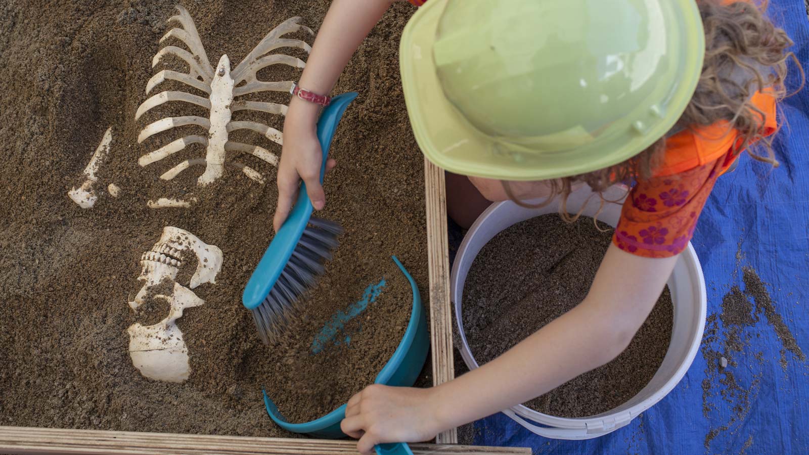 Découvrir l'archéologie