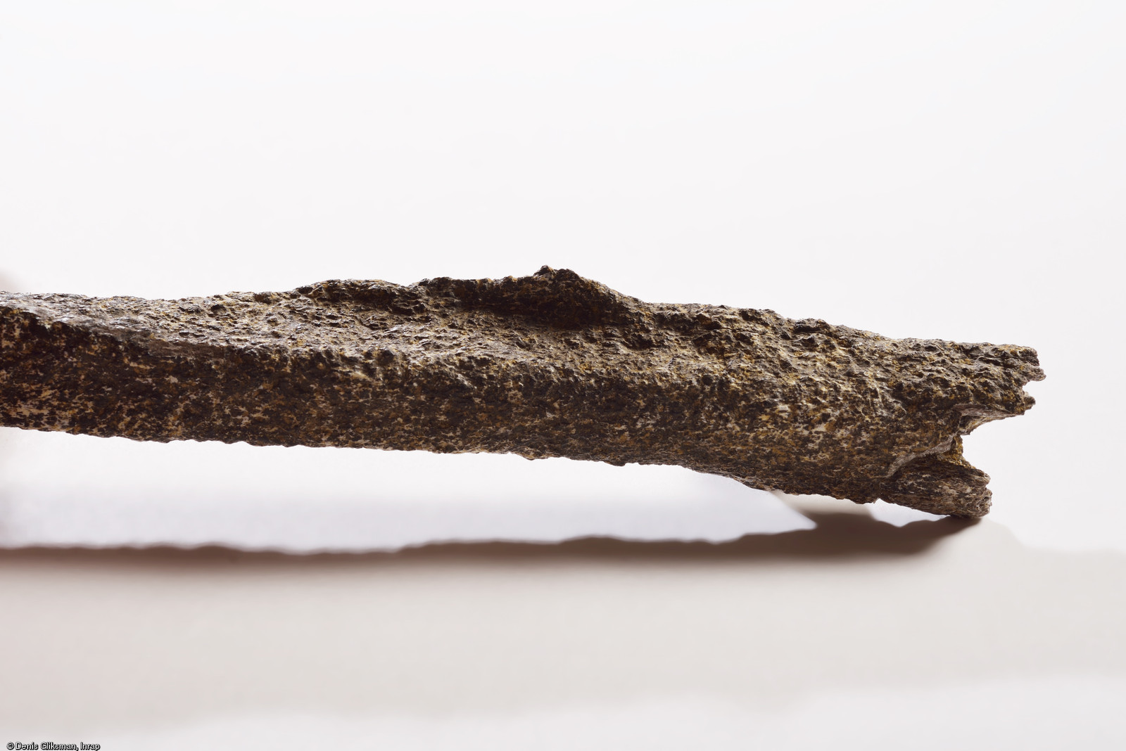 Détail de la trace d'enthésopathie de l’os du bras gauche d'un pré-Néandertalien retrouvé sur le site de Tourville-la-Rivière (Seine-Maritime), en 2010.  L'enthésopathie est une anomalie (crête inhabituelle à l'endroit de l'attache du muscle deltoïde post