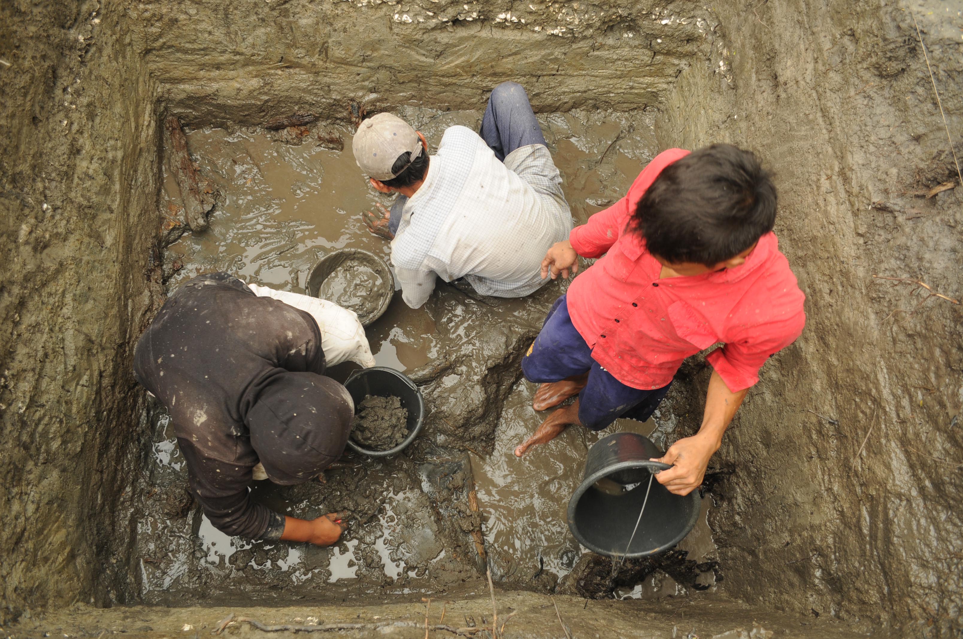 Dégagement de vestiges de structure en bois (Kota Cina, 2015)