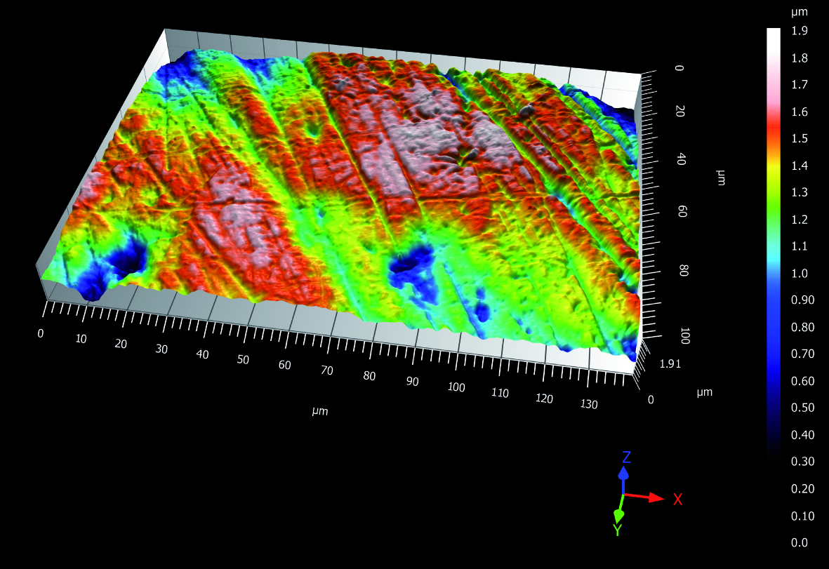 1. Exemple d’un scan de micro-usure dentaire sur une dent jugale de renne du site de Pincevent, niveau IV20 1. Exemple d’un scan de micro-usure dentaire sur une dent jugale de renne du site de Pincevent, niveau IV20