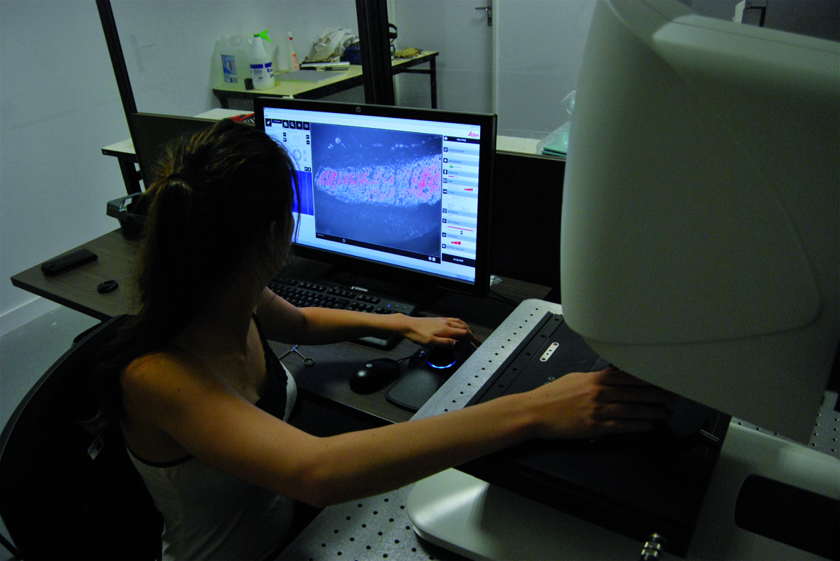 Enregistrement 3D d’une empreinte au profilomètre surfacique Leica DCM8 de l’IPHEP-UMR 7262 CNRS de Poitiers Enregistrement 3D d’une empreinte au profilomètre surfacique Leica DCM8 de l’IPHEP-UMR 7262 CNRS de Poitiers